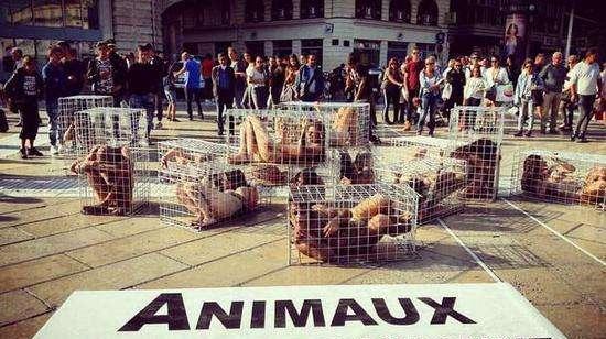 歷史陰影 19世紀(jì)美國對清朝女性的商品化與展覽