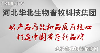 華北生物 聚焦生物技術開發，守護健康——病毒性疾病的防治原則與前沿實踐