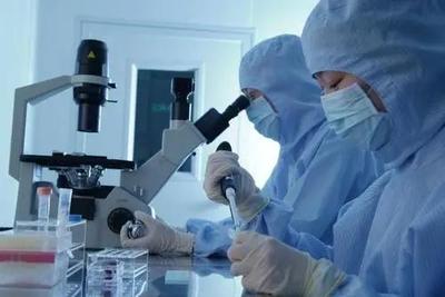 李逵還是李鬼？相似專(zhuān)業(yè)名稱(chēng)辨析 生物技術(shù)與生物技術(shù)開(kāi)發(fā)，2021年考生必讀